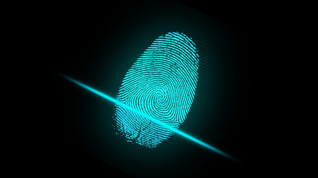 Verifying Shared Bits File Downloads