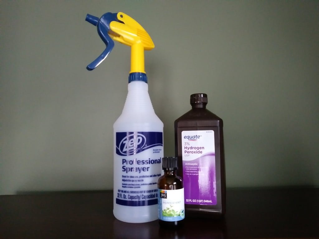 Body Wash by DreamSideOut